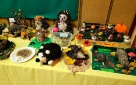 465709039_122119088528520487_7159068734488676909_n