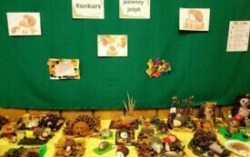 465672460_122119088702520487_8314205151256505395_n