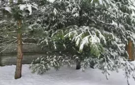 473624650_122130719816520487_8242905812621097292_n