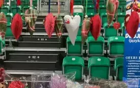 474797118_122132310116520487_2074301214809371074_n