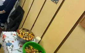 486546778_122142539030520487_8861822341818229194_n