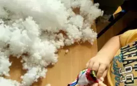 489749100_122145566282520487_2645571462588724189_n