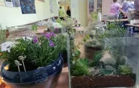 496932993_122150482646520487_1578449087698509854_n