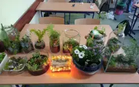 496800675_122150482574520487_7329185869179903576_n