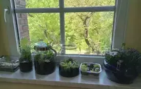 496299773_122150482682520487_2929558977244511361_n