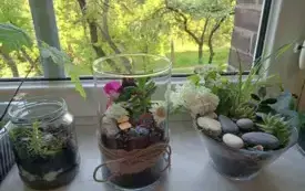 496298804_122150482562520487_7366448853179777389_n