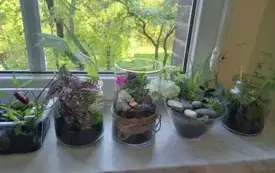 496297610_122150482256520487_1024470149856351664_n