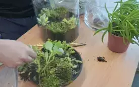 496256437_122150482310520487_1946852862437868021_n