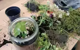 496254930_122150482526520487_5094437484807080454_n