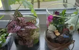 496254053_122150482238520487_9039483999310964666_n