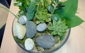 496254018_122150482136520487_4279617173799315544_n