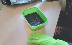 496253990_122150481926520487_8230390808439472561_n