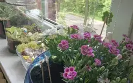 496162628_122150482760520487_1544512924389118182_n