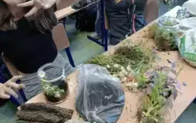 495994079_122150481842520487_6873255156828940811_n