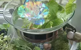 495897727_122150482838520487_5807283036650166689_n