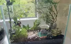 495844970_122150482748520487_2812840882307667771_n