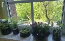 495806604_122150482442520487_3270034833565215384_n