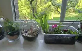 495738447_122150482226520487_9186277538852363189_n