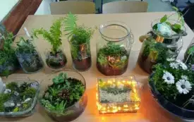 495700532_122150482826520487_7365715985555054274_n