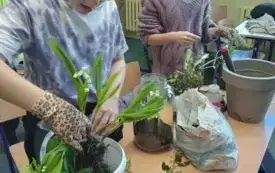 495599270_122150482352520487_2684033849113049232_n