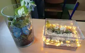 495440455_122150482454520487_7260267346417173135_n