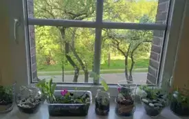 495389359_122150482076520487_2565089776163908035_n