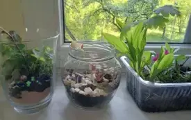 495366832_122150482214520487_8516101911409428823_n