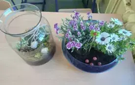 495361415_122150482424520487_7485868783929086870_n