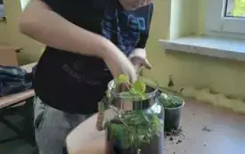 495305511_122150482322520487_529629505737377395_n