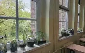 495287184_122150482790520487_1866939163912050746_n