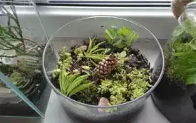 495204820_122150482772520487_68819393348562054_n