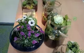 495189129_122150482814520487_1092110408394032043_n