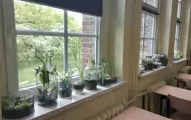 495137595_122150482706520487_2232051020719658312_n