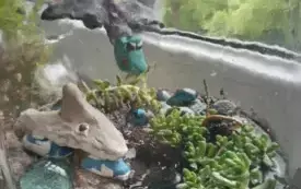 495123283_122150482802520487_2507861719661528623_n