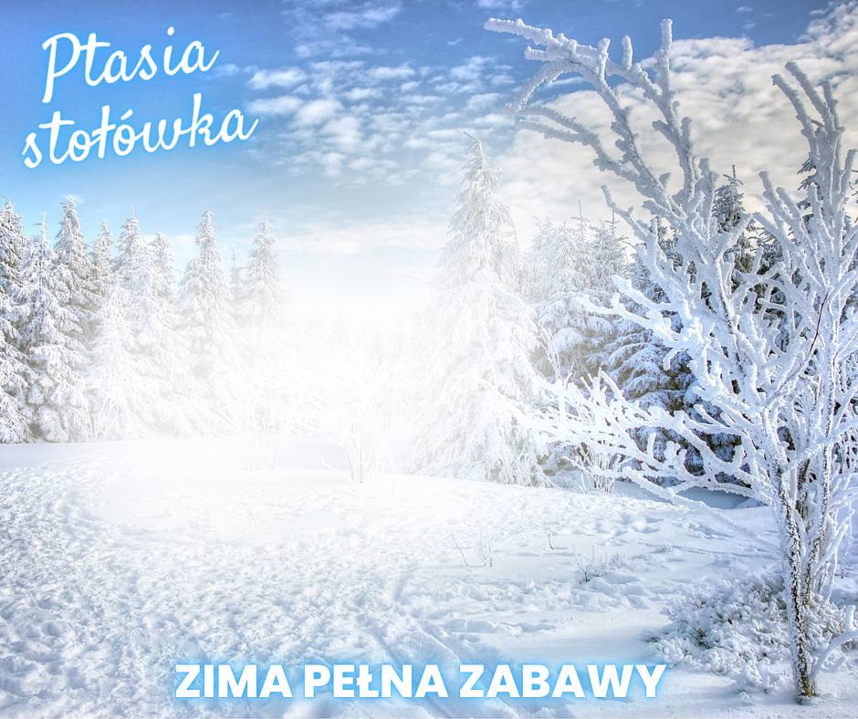 473581383_122130718058520487_7715477249707640587_n