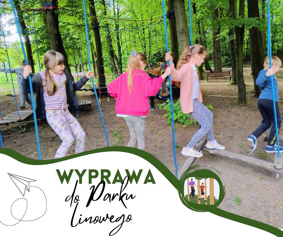 park_linowy_5