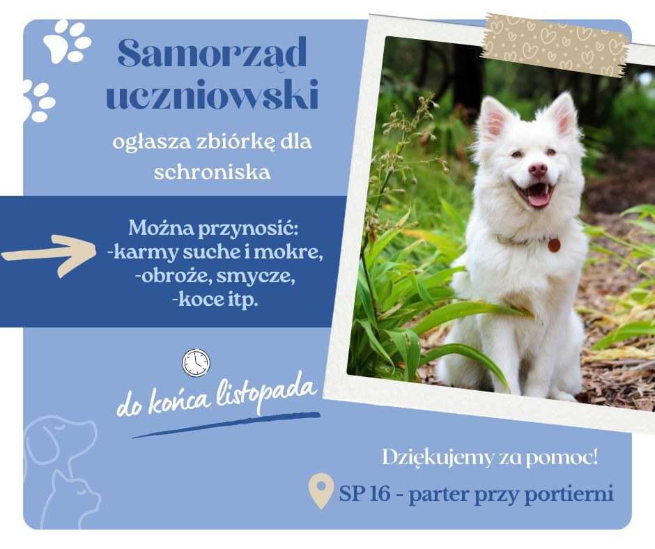 zbi&oacute;rka_dla_schroniska