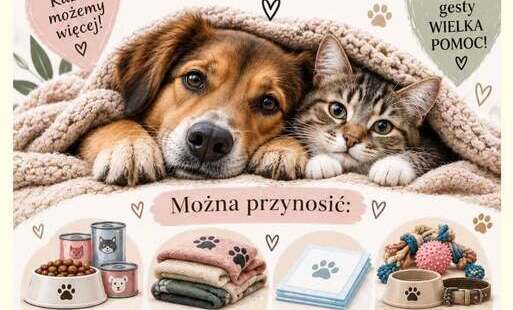 Zdjęcie do  RAZEM MOŻEMY WIĘCEJ! POMAGAMY ZWIERZĘTOM! 