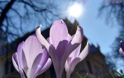Zdjęcie do Wyniki konkursu fotograficznego.