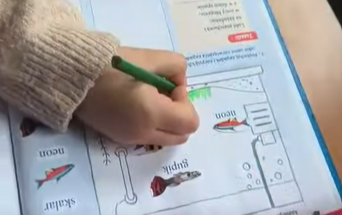 Zdjęcie do Inspiracja z konferencji eTwinning &bdquo;Szkoła przyszłości zaczyna się dziś &ndash; edukacja w erze sztucznej inteligencji&rdquo;